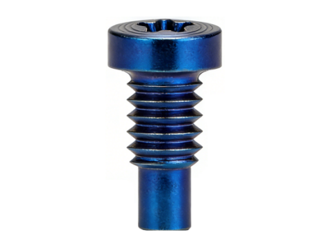 Parafuso com Padrão CD PVD de Cabeça com Encaixe Hexalobular