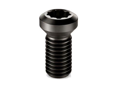Parafusos de Precisão de Alta Resistência com Acionamento TORX PLUS®