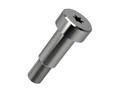 Parafuso com Ombreira e Cabeça Hexalobular (Torx)