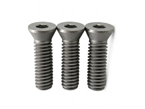TORX® T25 Tool Screw | M6×20 