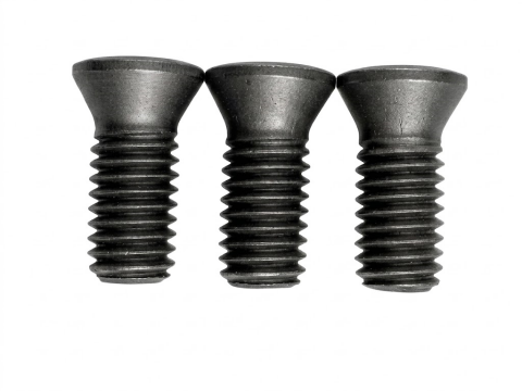 TORX® T20 Tool Screw | M5×12 