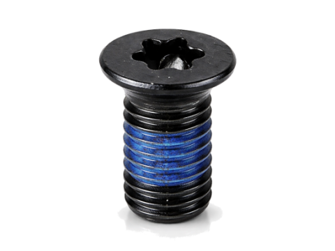 Torx Drive Anti-Loosening Screws with Nylon Patch