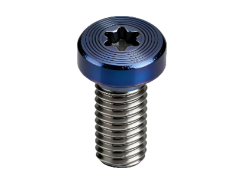 Premium Torx Pan Head Screws with CD Pattern & PVD Finis